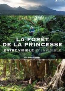 La Forêt de la princesse, entre visible et invisible