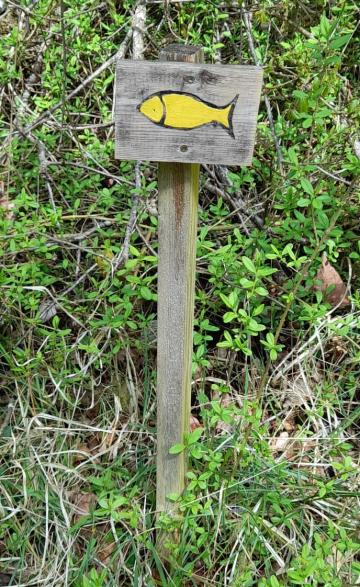 Sentier Cache-che à l'eau