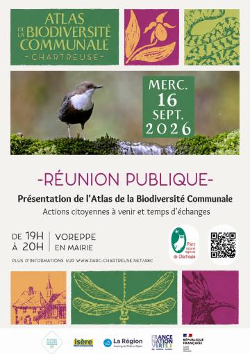 affiche réunion publique